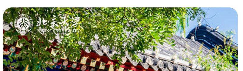 北京大学AI智能研修班