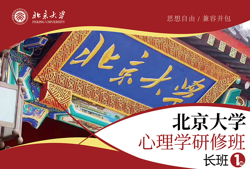 北京大学心理学研修班（第九期）